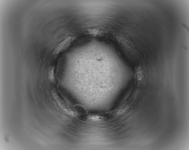 X0000100390611200806201715