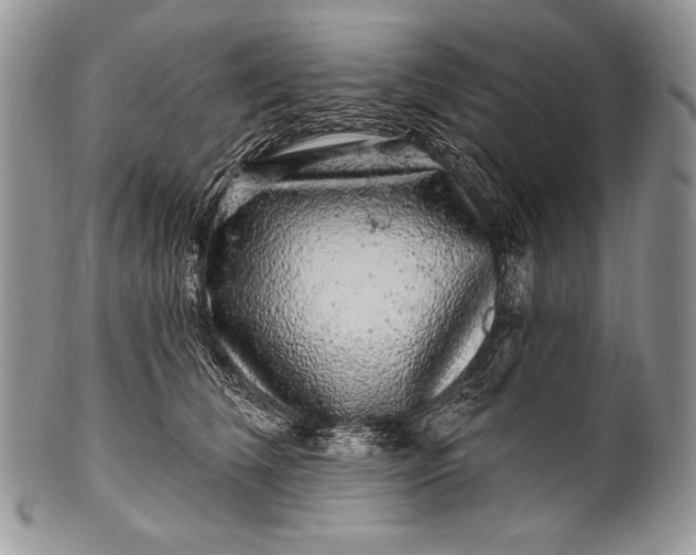 X0000100390612200806201715