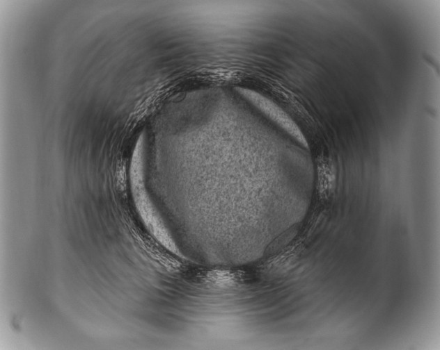 X0000100390613200806201715