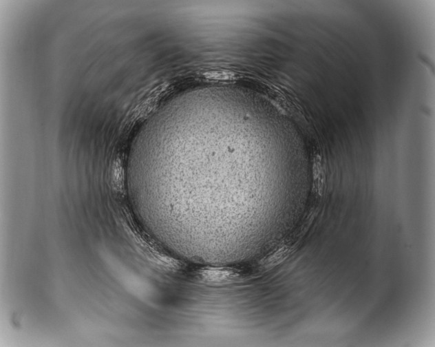 X0000100390614200806201715