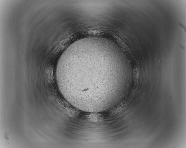 X0000100390615200806201715