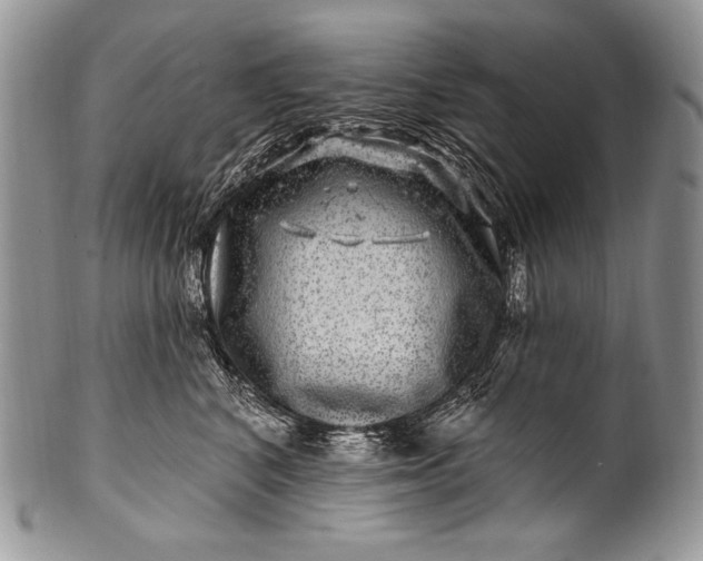 X0000100390616200806201715