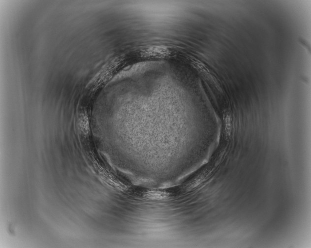 X0000100390617200806201715