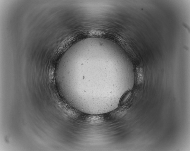 X0000100390619200806201715