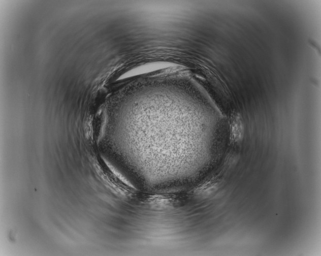 X0000100390620200806201715