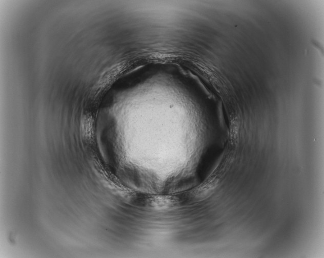 X0000100390623200806201715