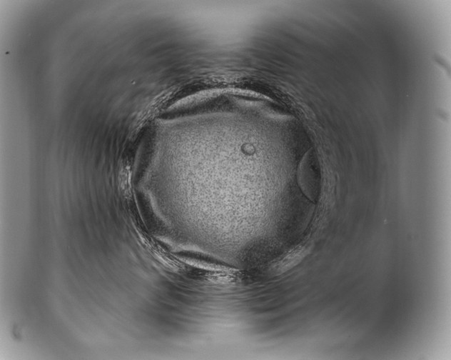 X0000100390624200806201715