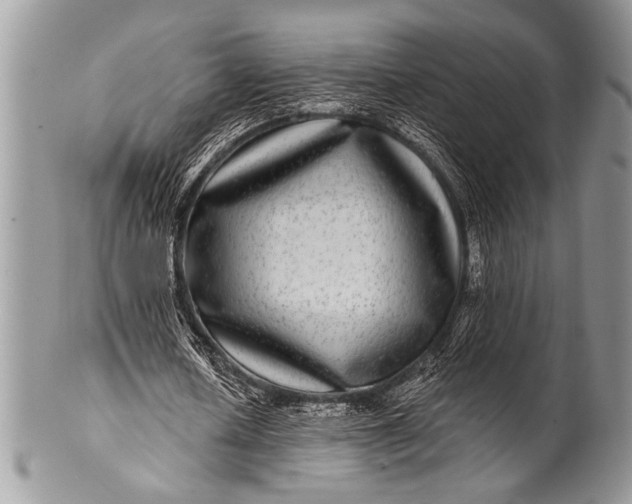 X0000100390626200806201714