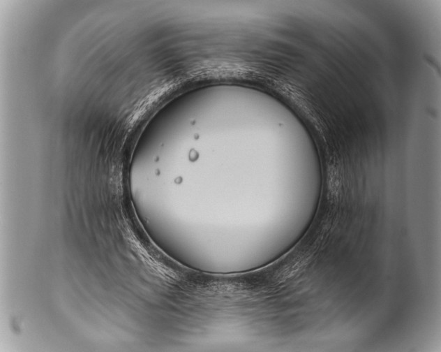 X0000100390629200806201714