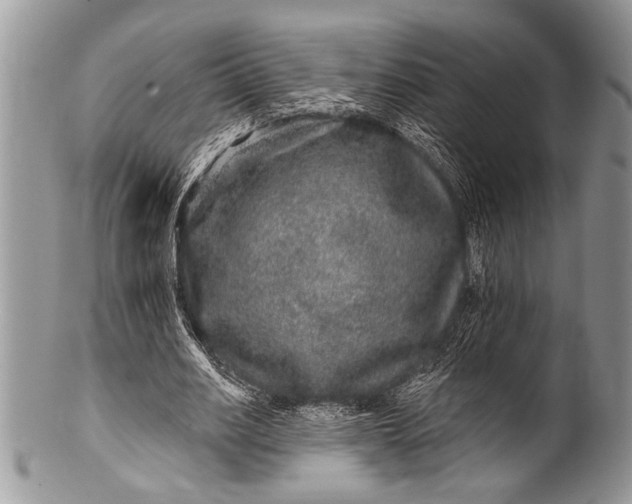 X0000100390630200806201714