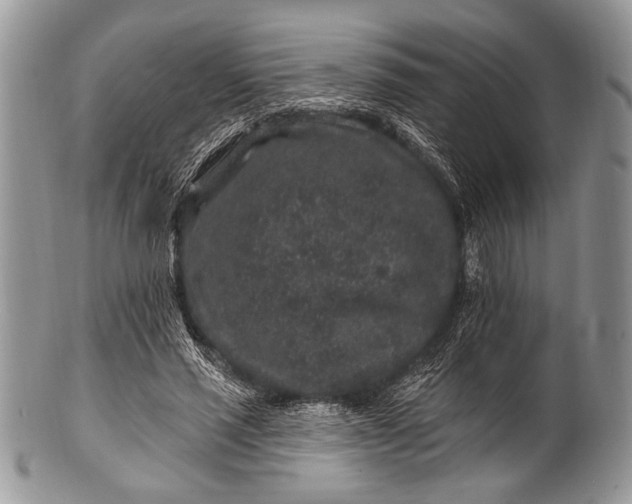 X0000100390637200806201714