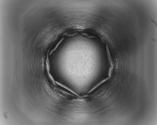 X0000100390639200806201714