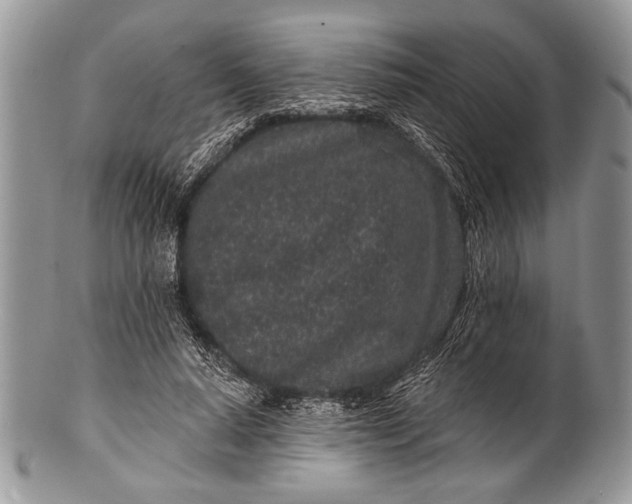 X0000100390640200806201715