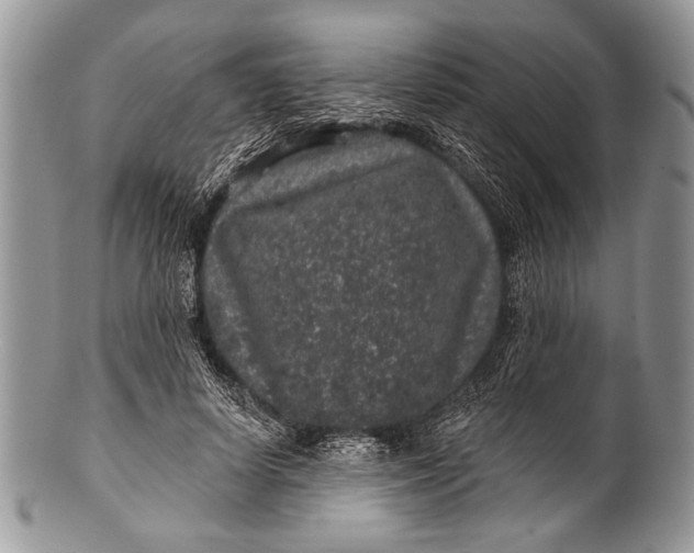 X0000100390642200806201715