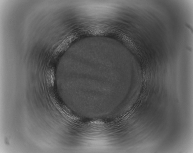 X0000100390644200806201715