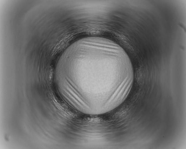 X0000100390645200806201715