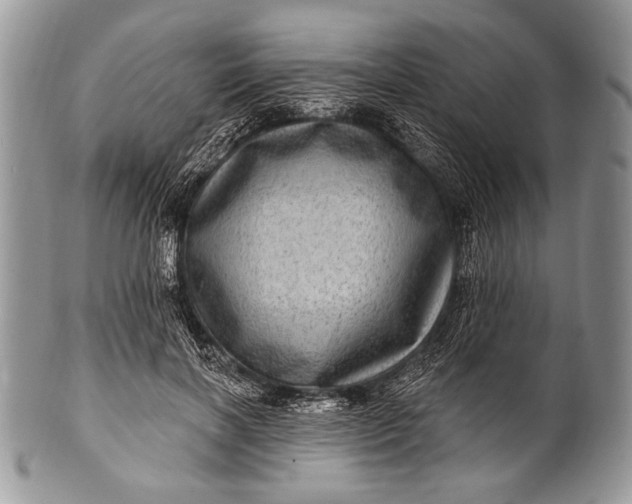 X0000100390646200806201715