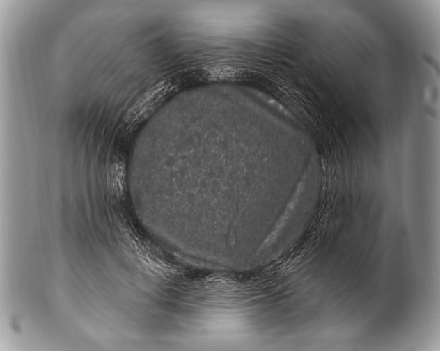 X0000100390648200806201715