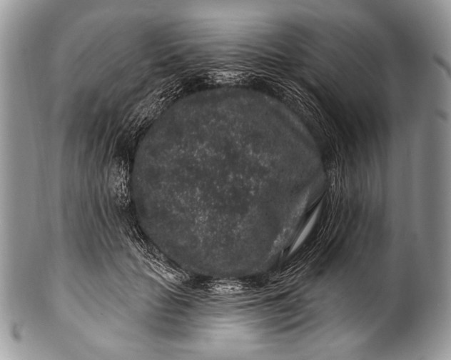 X0000100390653200806201715