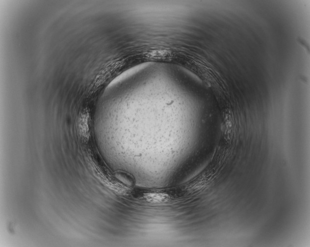 X0000100390654200806201715