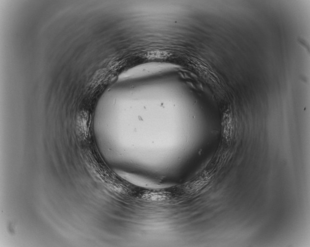 X0000100390655200806201715