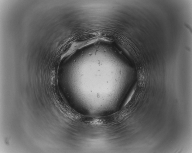 X0000100390656200806201715