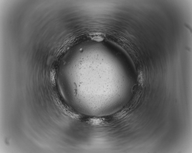 X0000100390662200806201715