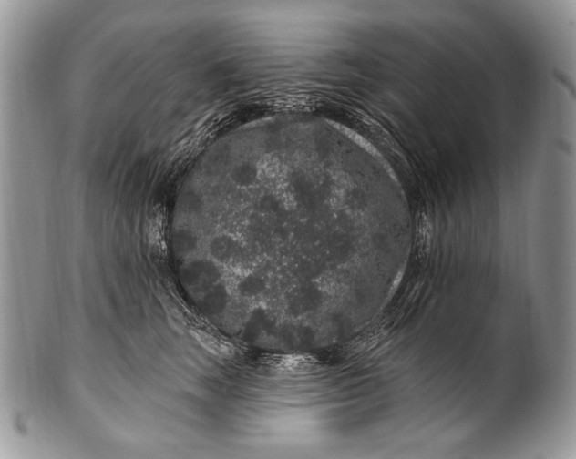 X0000100390663200806201715