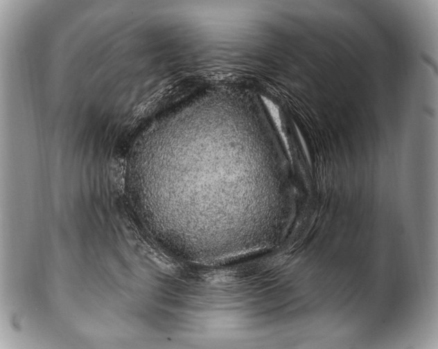 X0000100390664200806201715