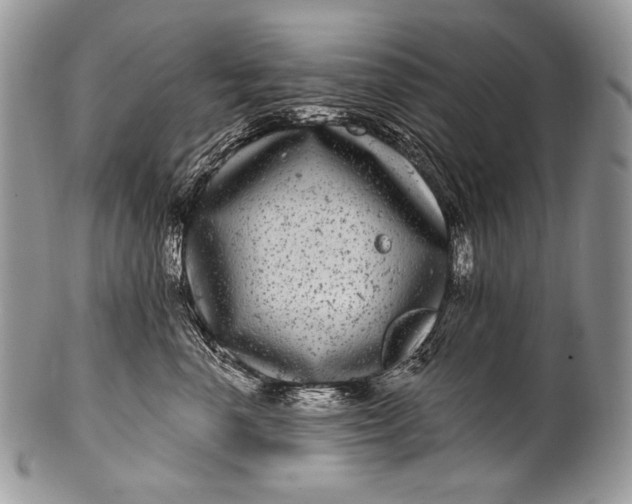 X0000100390666200806201715