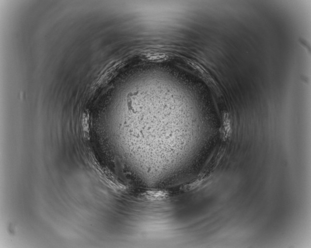 X0000100390667200806201715