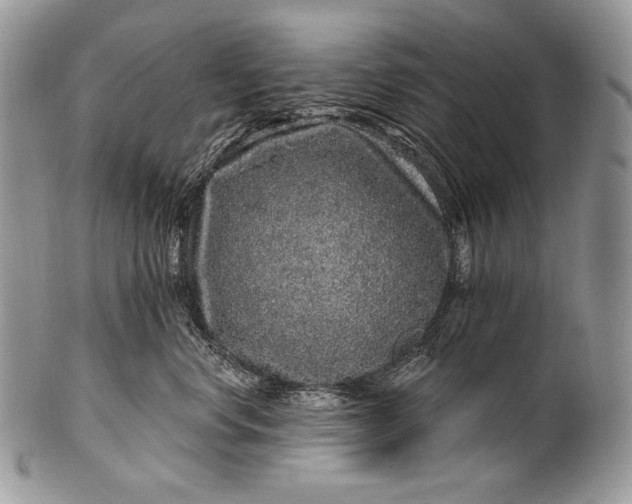 X0000100390668200806201715