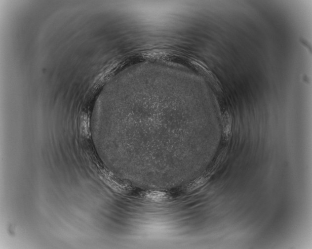 X0000100390669200806201715