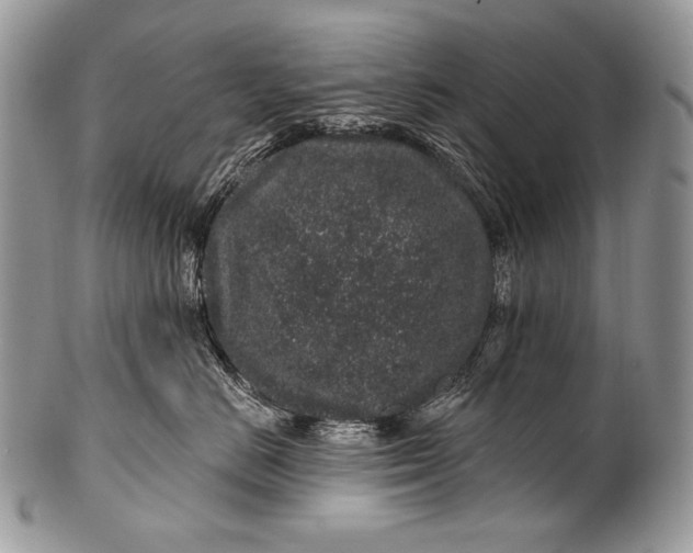 X0000100390670200806201715