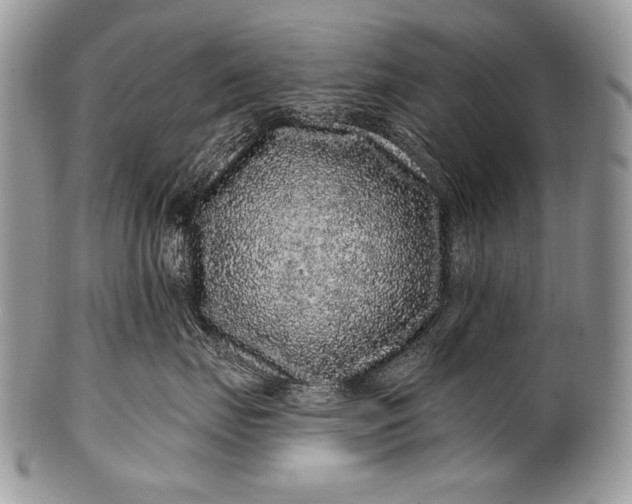 X0000100390671200806201715