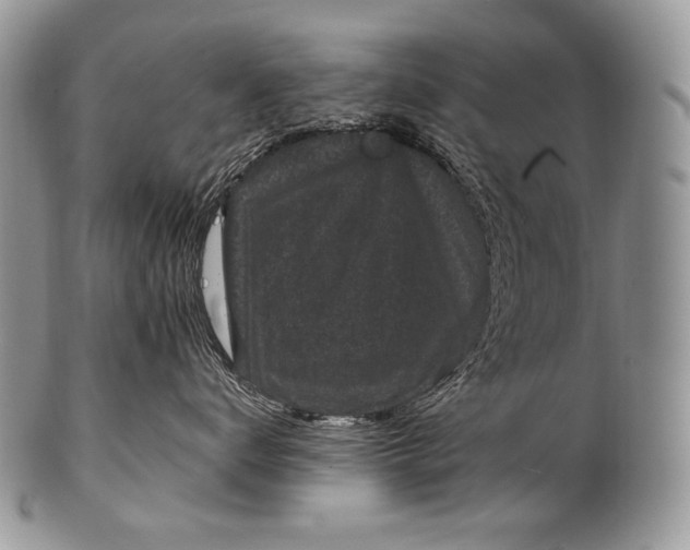 X0000100390672200806201715