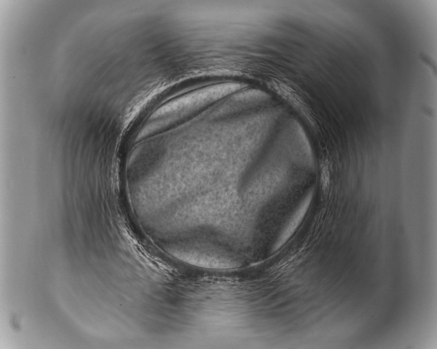 X0000100390676200806201714