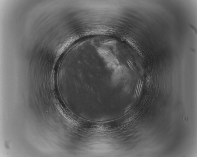 X0000100390678200806201714