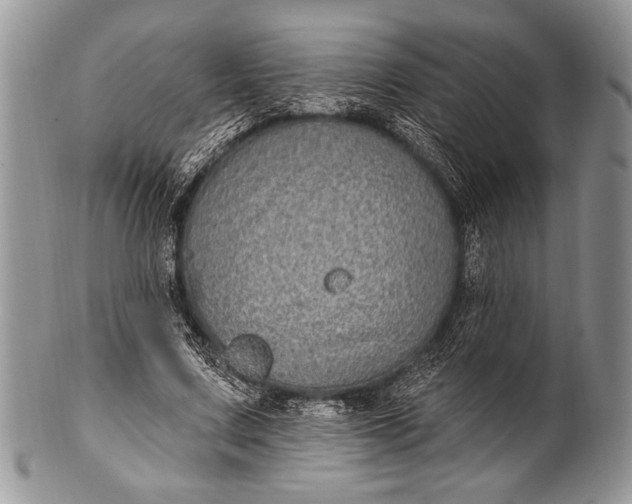 X0000100390683200806201714