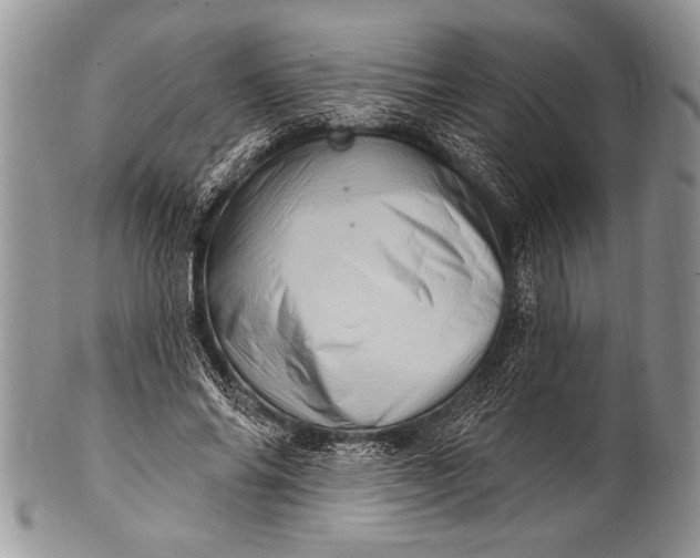 X0000100390686200806201714