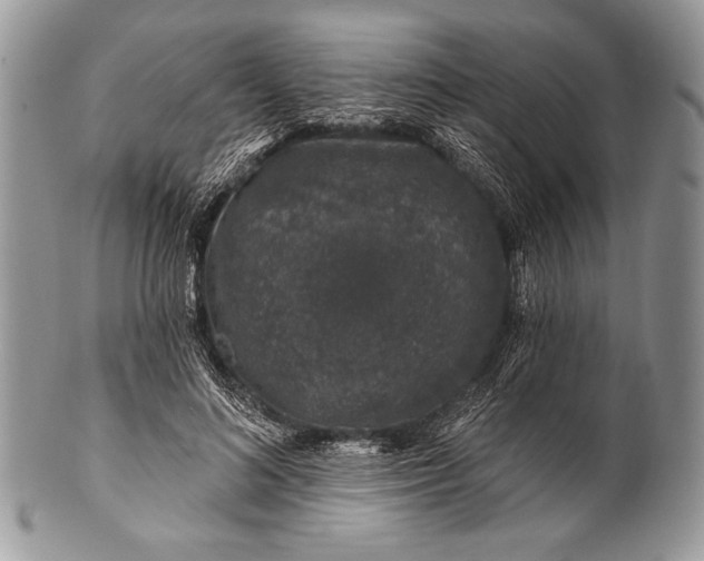 X0000100390692200806201714