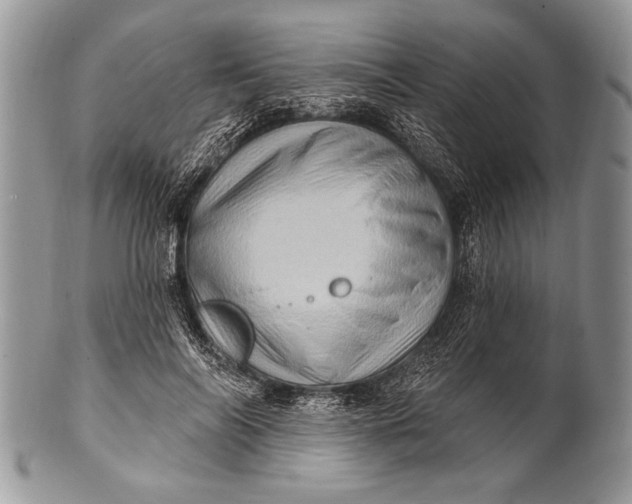 X0000100390694200806201714