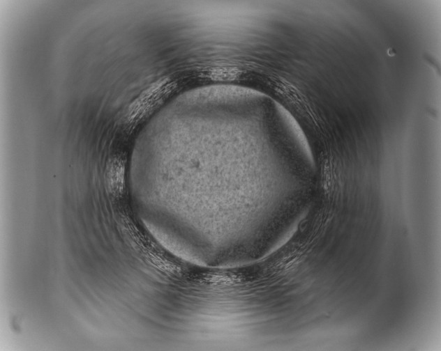 X0000100390697200806201714