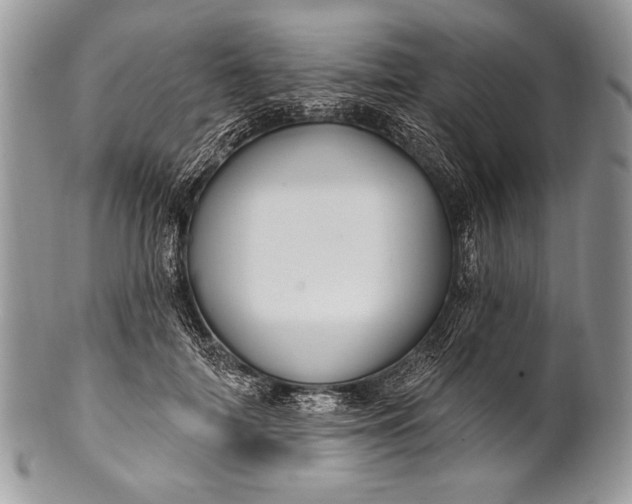 X0000100390698200806201714