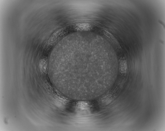 X0000100390701200806201714