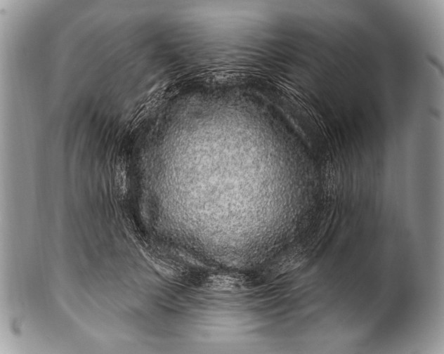 X0000100390703200806201714