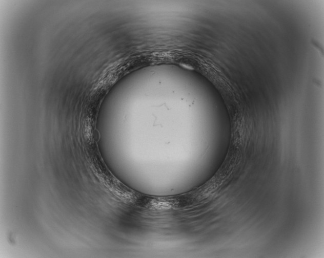 X0000100390706200806201714