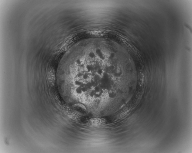 X0000100390707200806201714