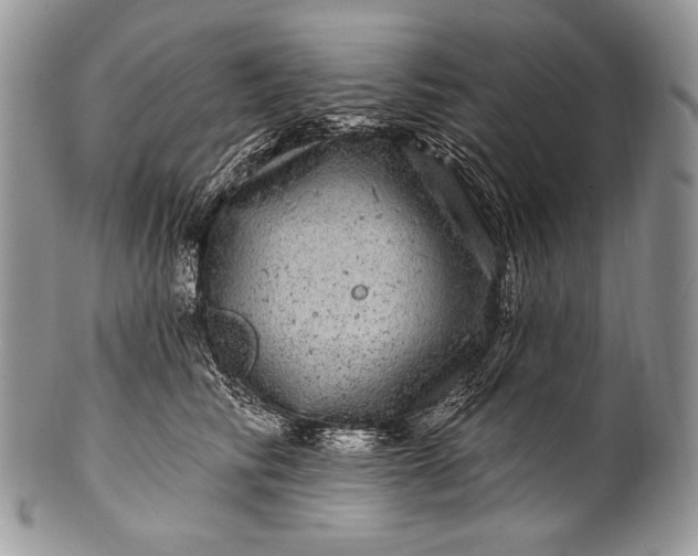 X0000100390710200806201714