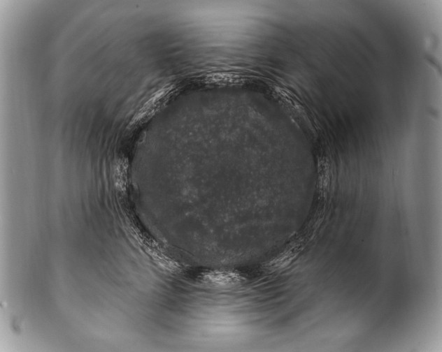 X0000100390712200806201714